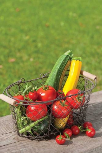 Vegetable Gardening for Profit